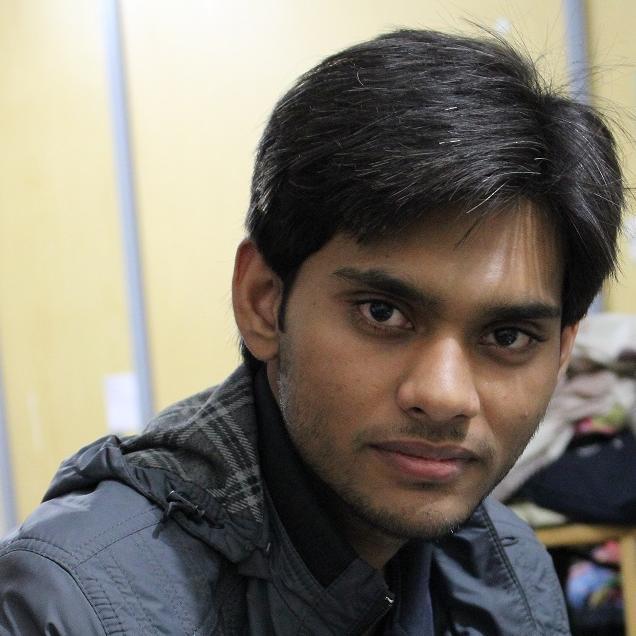 Software Developer