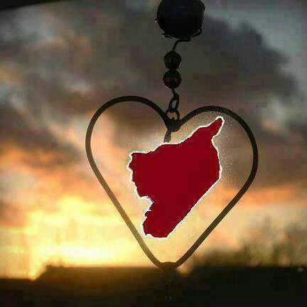 RamiManaf's profile picture. 