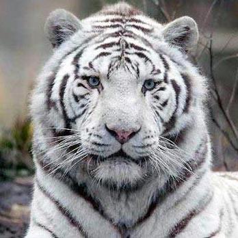 skypper38's profile picture. 