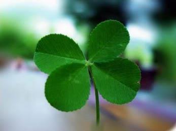 ophelia_6's profile picture. 