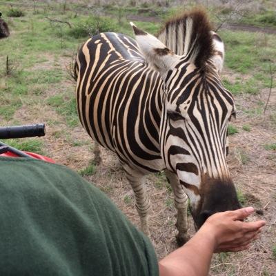 Swoonerism's profile picture. 