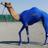 camel_racer's profile picture