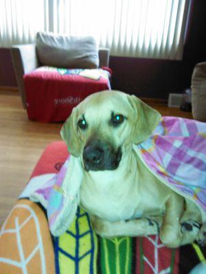 roccoltd10's profile picture. 