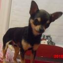 haley mack - @hazymarie - Twitter