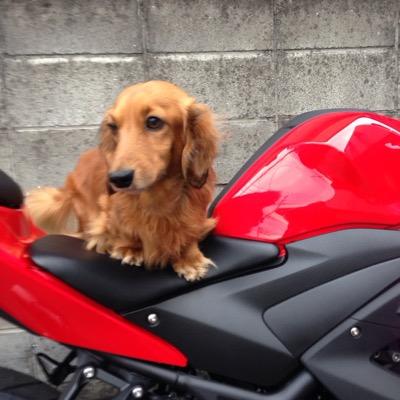 r1iaHNOpjLzdZFu's profile picture. ボーグのために登録