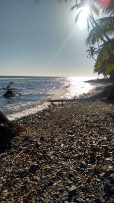 zsazsa1973's profile picture. 