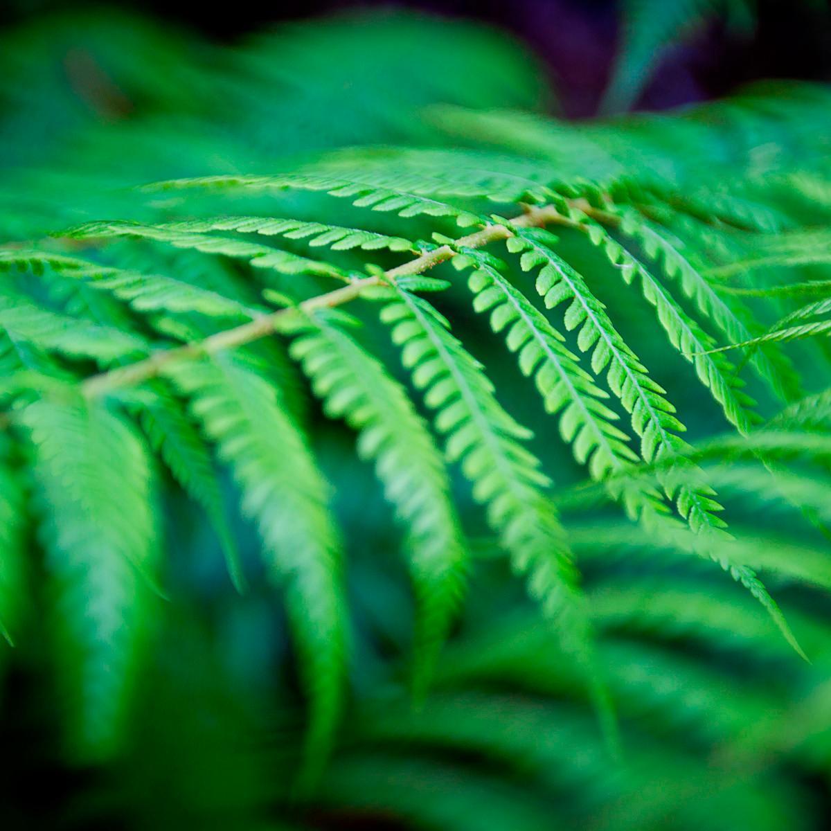 djoanna673's profile picture. z