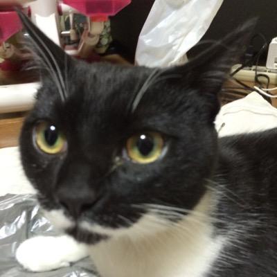 エンタメを吸いたい垢
