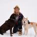 Julie M Gillis (@ddsjulie) Twitter profile photo