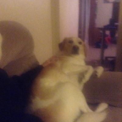 JacobPangio's profile picture. 