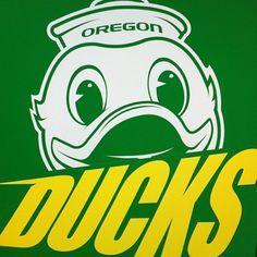 Go Ducks