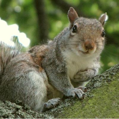 softball_life28's profile picture. 