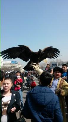 olgan327's profile picture. 