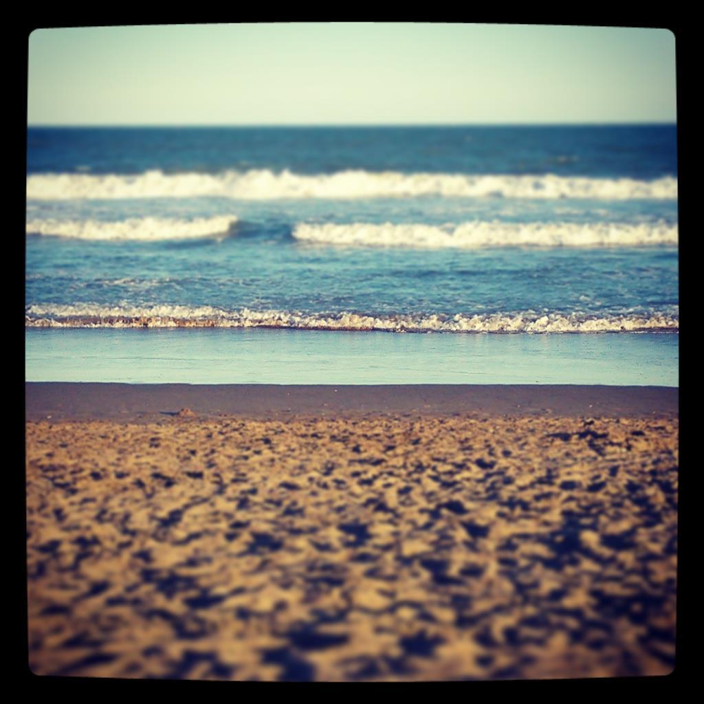 rodfulgueiras's profile picture. se hace camino al andar..