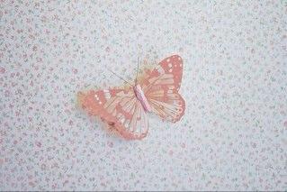 M117A's profile picture. Never give up ....