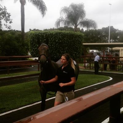 Advertising Coordinator @AsianRacingRep