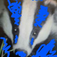 Den (@dennyden5) 's Twitter Profile