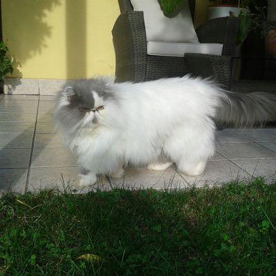 logicom111's profile picture. 