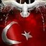 RT BEĞENDİĞİM ANLAMINA GELMEZ...
***
Haya sıyrılmış inmiş, öyle yüzsüzlük ki heryerde  Ne çirkin yüzleri örtermiş, meğer o incecik perde...          .