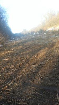 jedemfolgen's profile picture. 