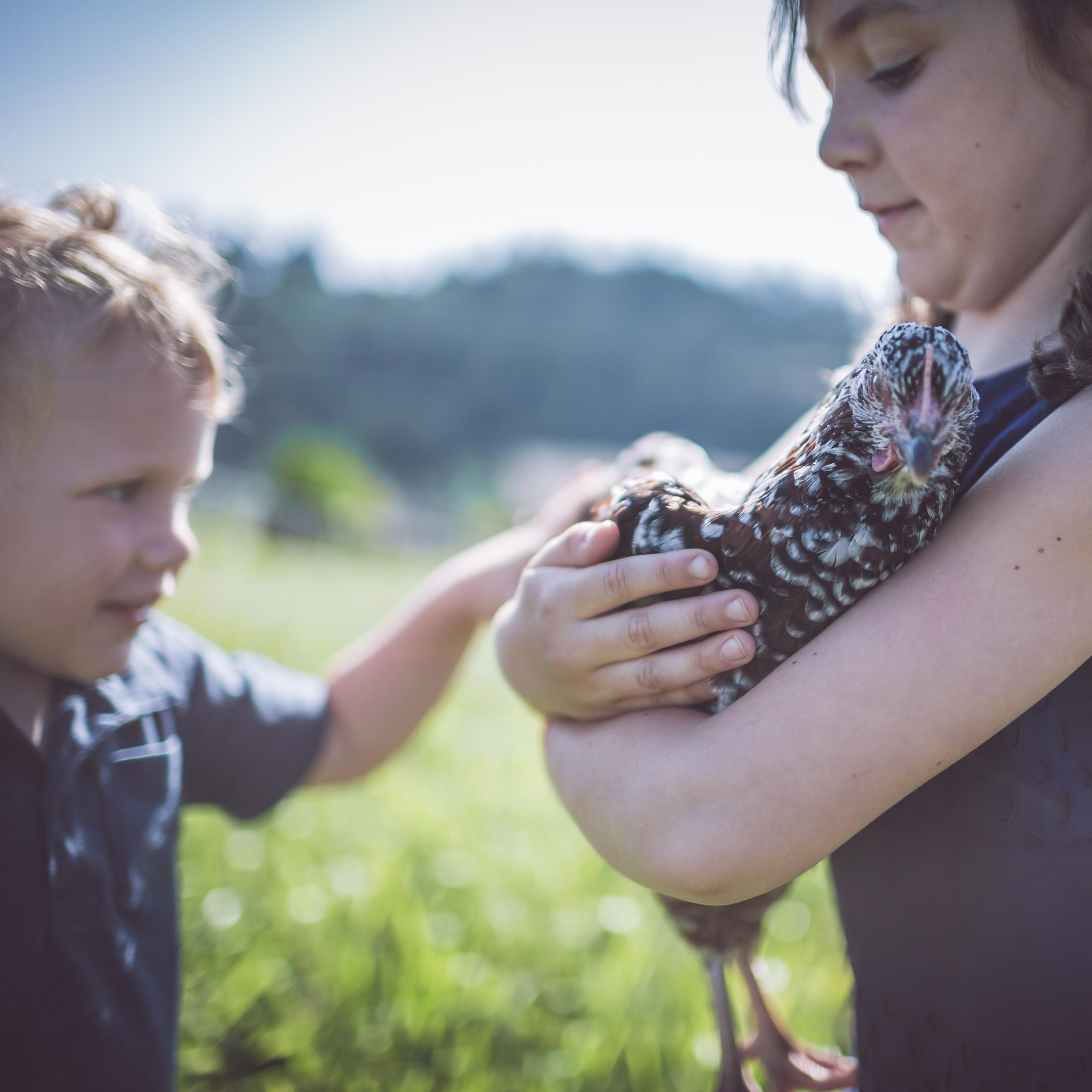 Since 2009, growing organic fruits and veggies on the banks of the Puyallup River.