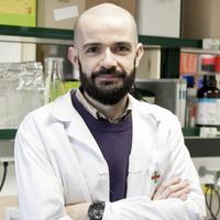 Gonzalo Herradón (@gherradon) 's Twitter Profile