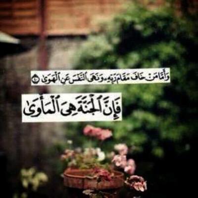 لعله يشفع لي بعد مماتي ❤️