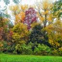 Greg Cheney - @o_ishere - Twitter