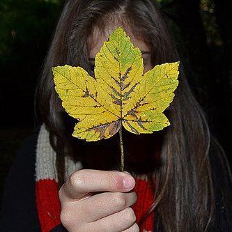 Twilighter,Robsessed, Krisbian, Swiftie,Firebreather #BooksAreMyLife,. My Love: HoneyBee Follow me and Shake It Off ;)