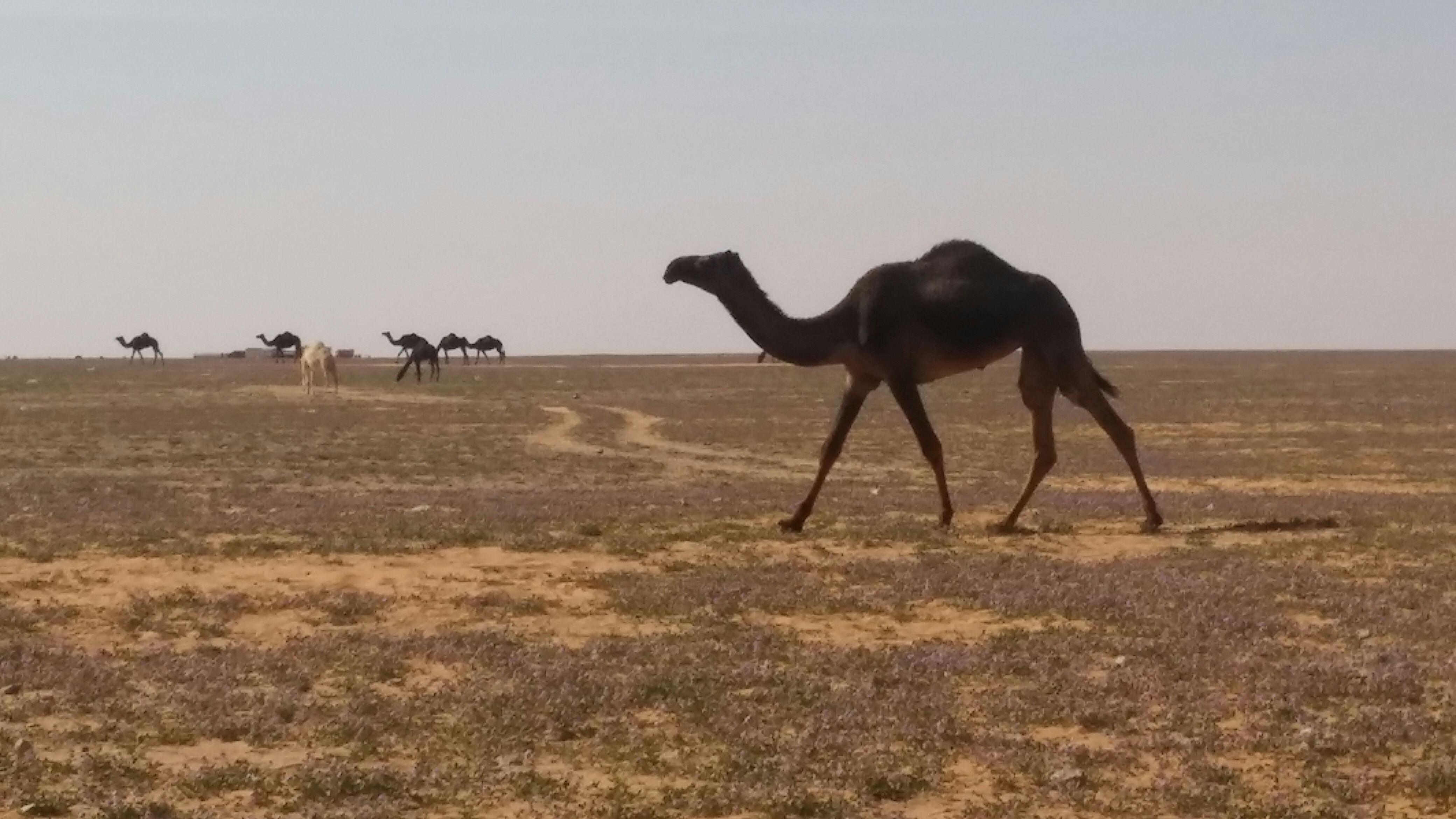 ‏عامل الآخرين بما تحب أن يعاملوك. .وابتسم للحياة