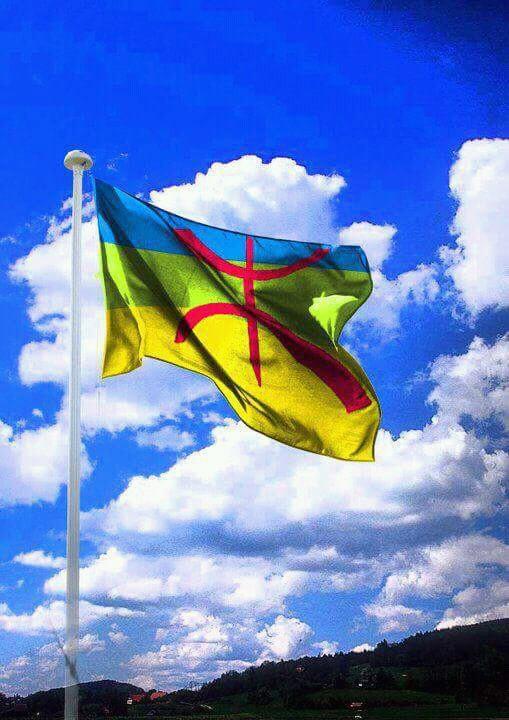 rifarifi72's profile picture. 