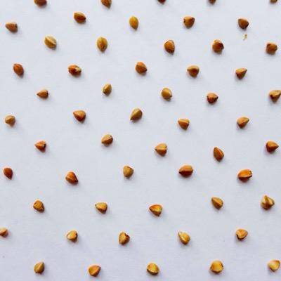 grechka_club's profile picture. Информация в #grechka_club отбирается тщательно и по крупицам, чтобы показать 
ту Россию, которую вы полюбите.