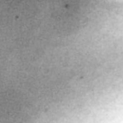 lav_bob's profile picture. 