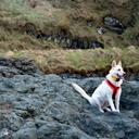 emma mcafee - @emmamcafee1 - Twitter