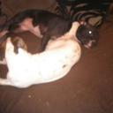 Dean Hardy - @344520d8ca88463 - Twitter