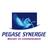 PegaseSynergie's profile image