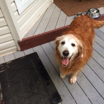 Truegrit33's profile picture. “If I got Jesus, I’ve got it all.”✝️