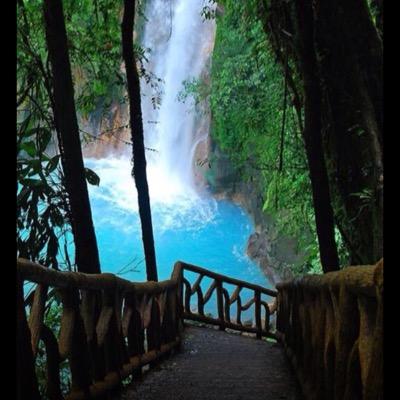 Followforaprom1's profile picture. follow if you need a prom date