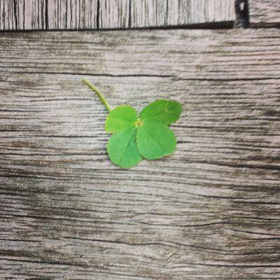 hawki1993's profile picture. 