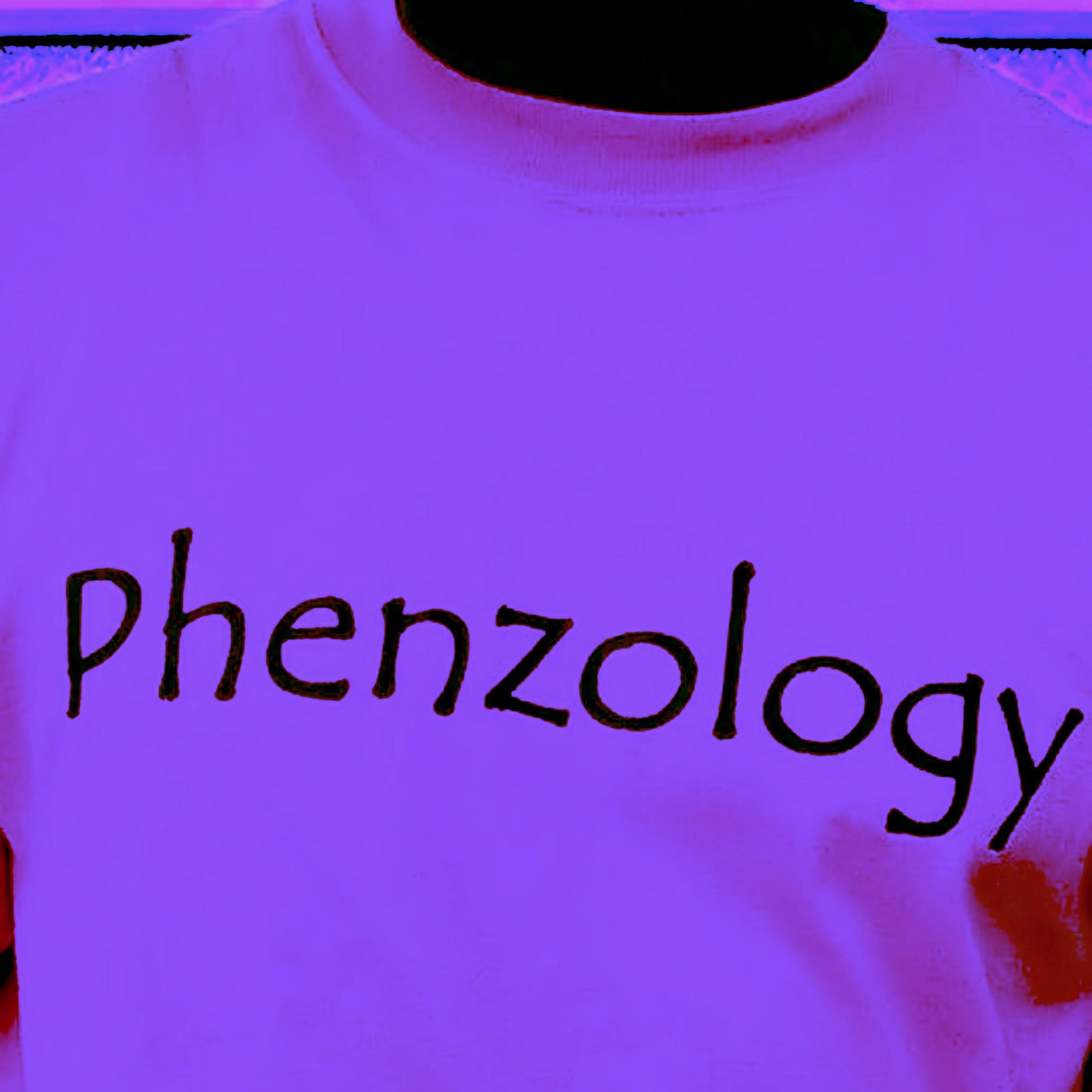 Phenzology Productions