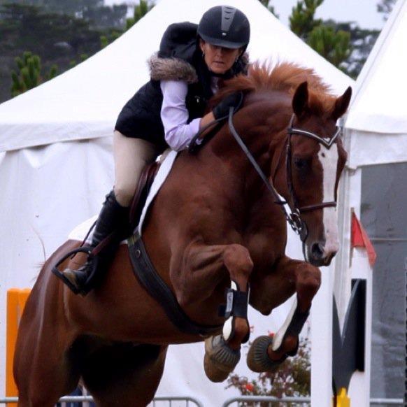 Mom, equestrian, Wine lover, Real Estate agent