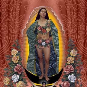 appoloniac's profile picture. Iowan in upstate New York