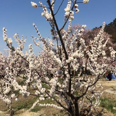 Totti104taro's profile picture. 