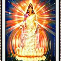 Bhadrakali (@bhadrakali9) 's Twitter Profile