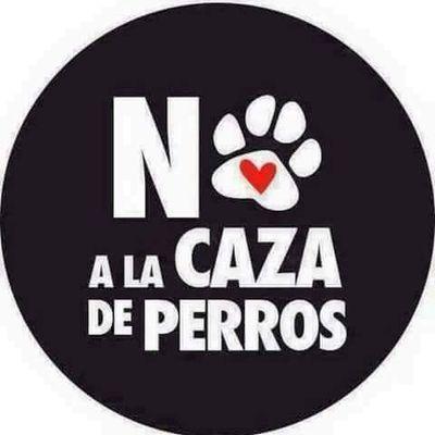 Coleccionista de Futbol, fans de @miratufans, CatLover,Chileno de Corazon y en todo Amar & Servir supermonoz22@gmail.com