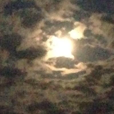 bGCPpFJOqJmSe4m's profile picture. .