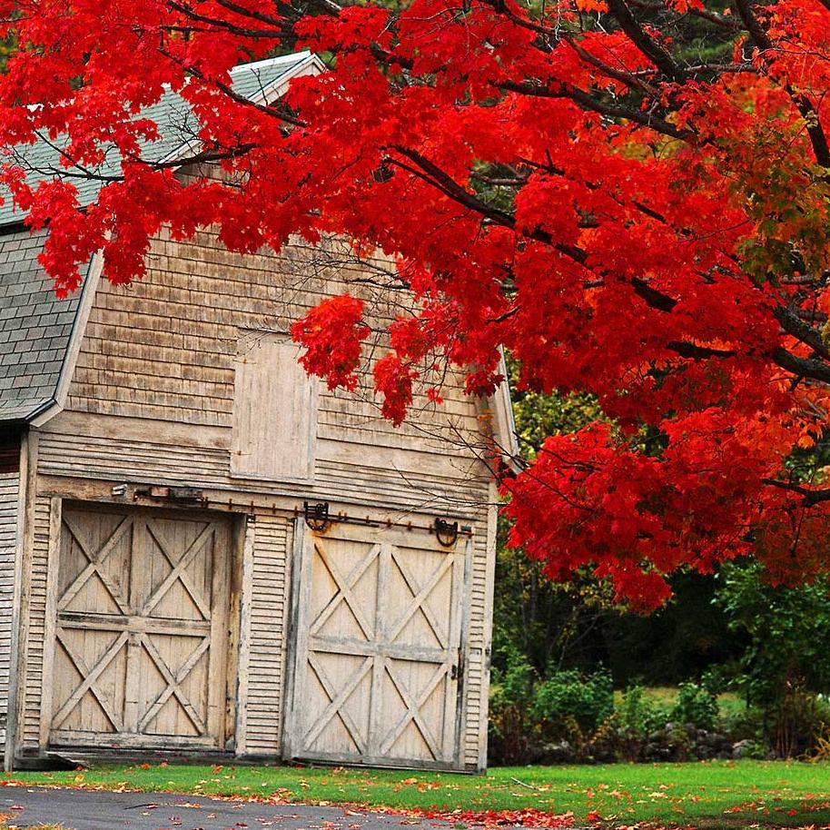 irenedoss's profile picture. 