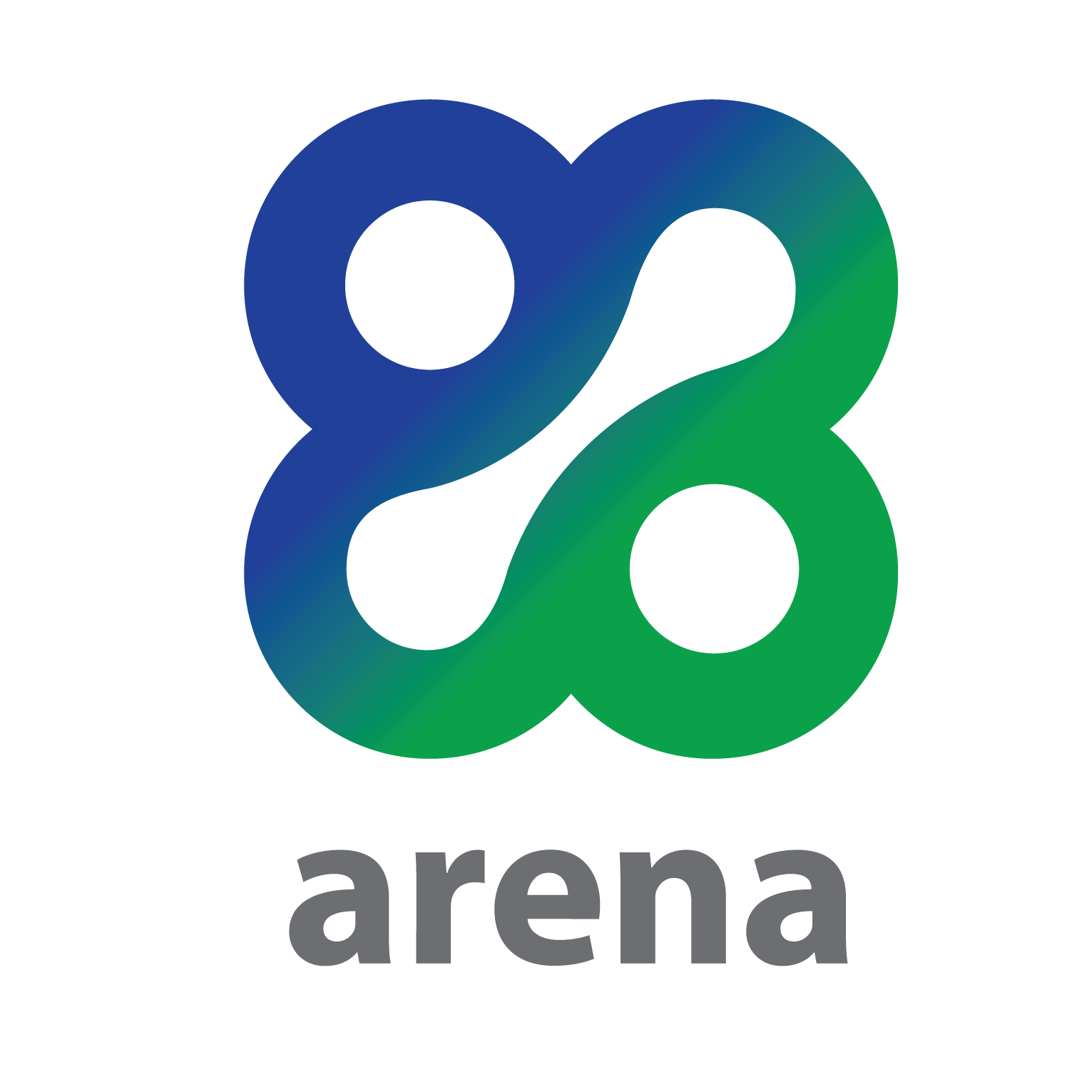 Arena Corporation