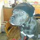 Zyon Bragg - @VirginiaBragg - Twitter