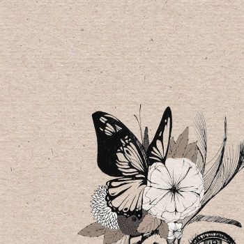 taaa_kei's profile picture. 宜しくお願いします(◎_◎)